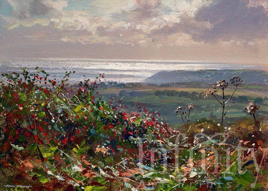 Silver Sea and Fuchsia, Penwith